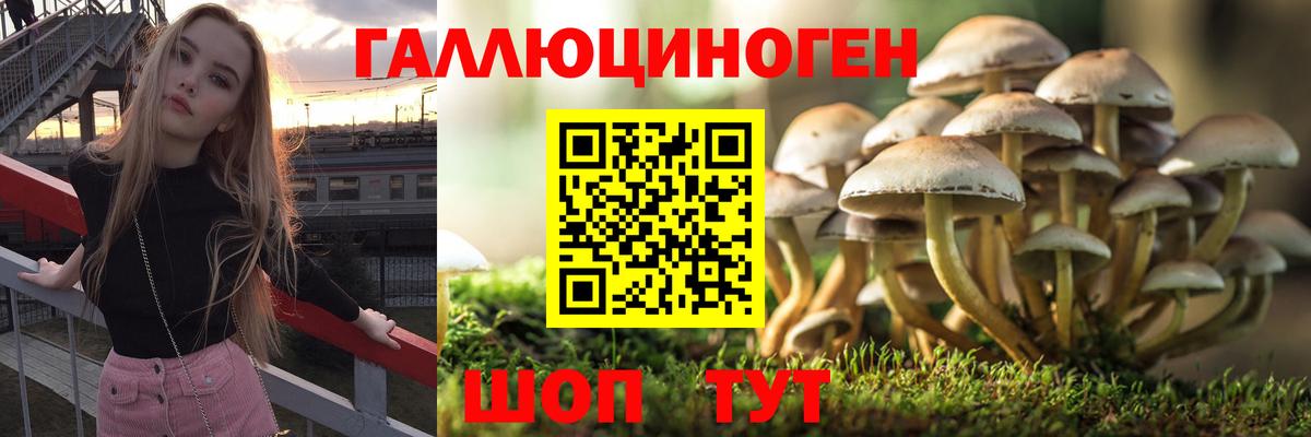 Псилоцибиновые грибы Psilocybine cubensis  Вход с VPN  Дубна 